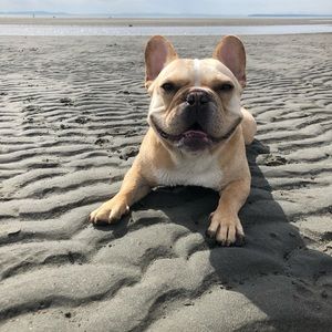 Meet your Posher, Zoe